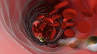 Mikroroboter rollt tief ins Innere des Körpers (Bild: Max-Planck-Institut für Intelligente Systeme)