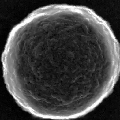 A Caltech-led team has developed a way of making bubble bots with simple protein shells that can be modified by enzymes or magnetic nanoparticles for efficient drug delivery. One version the researchers has made is "smart" enough to direct itself to direct itself to a tumor target. (Source: Gao Lab/ Caltech)