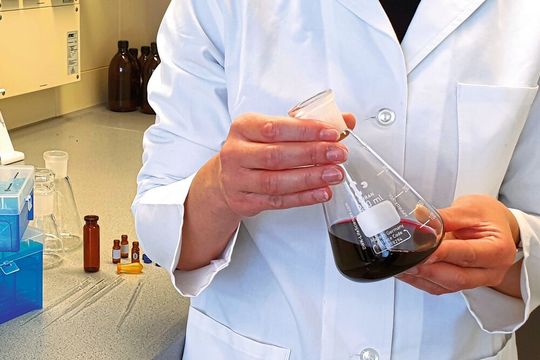 Ausgangspunkt für die Untersuchungen war ein im Labor aus Sauerkirschen hergestellter reiner Kirschsaft.(Bild:  Gisela Olias / Leibniz-LSB)