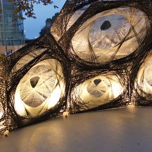 Die Deckflügelstruktur eines Käfers nahmen Forscher als Vorlage, um auch im Bauwesen durch faserverstärkte Komponenten Gewicht zu sparen.