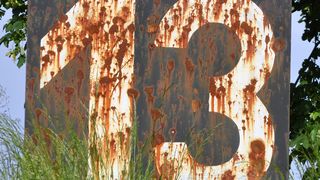 Die wilde 13: Die beliebtesten Fachartikel des Jahres (Kurt Michel/pixelio.de)