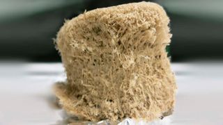 Schaum aus mikrofibrillärer Cellulose. Die Herstellung biobasierter Materialien steht im Zentrum des Forschungsinteresses am Institut für Biobasierte Produkte und Papiertechnik der TU Graz. (TU Graz / BPTI)