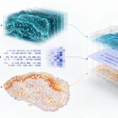 Schema: 3D-Bild, Sequenzdaten und räumliche Proteinanalyse aus einem Gewebe sollen in einem gemeinsamen Bezugssystem zusammengeführt werden. Wie genau das gelingt, ist offen. Bild: KI-generiert (Bild: KI-generiert / Redaktion Devicemed.de)