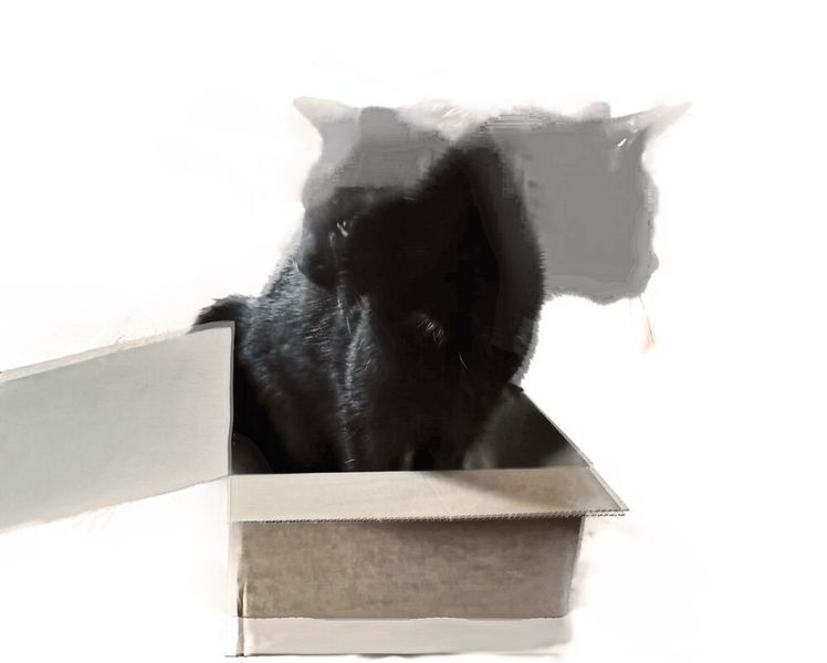 Im Quantencomputing ist ein Katzenzustand - benannt nach der berühmten Analogie von Schrödingers Katze - ein Quantenzustand, der sich aus zwei diametral entgegengesetzten Bedingungen gleichzeitig zusammensetzt. Einem internationalen Team ist es nun gemeinsam mit Experten des Forschungszentrums Jülich gelungen, 20 verschränkte Quantenbits in einen solchen Zustand der Überlagerung zu versetzen. (Forschungszentrum Jülich / Annette Stettien)