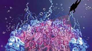 Künstlerische Darstellung der felsartigen Gerüststruktur des Kernporenkomplexes, die mit ungeordneten Nukleoporinen im zentralen Kanal gefüllt ist, der als Seetang dargestellt ist. In der Arbeit wurde das dunkle Loch des Kernporenkomplexes erforscht, um Licht auf die ungeordneten Nukleoporine zu werfen. (Bild: Sara Mingu)