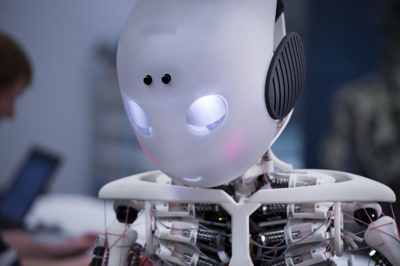 Der Roboter Roboy feiert im März seinen ersten Geburtstag. (Devanthro Society)