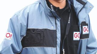 Der Kurierdienst GO Express & Logistics präsentiert sich ab sofort in neuem Outfit. (Archiv: Vogel Business Media)