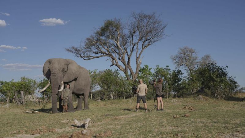 Angela Stöger bei der Datenaufnahme im Rahmen dieser Studie in Botswana. Angela Stöger bei der Datenaufnahme im Rahmen dieser Studie in Botswana.