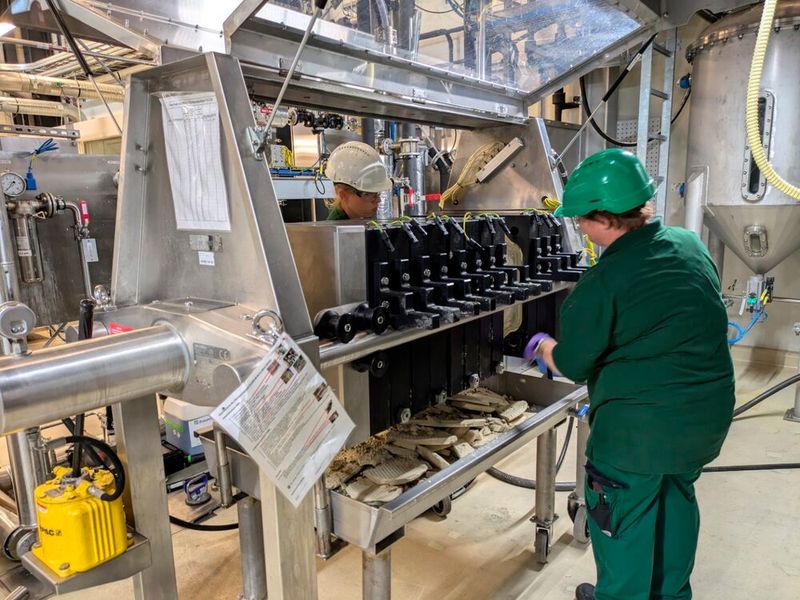 An der Filterpresse wird das Rapskernkonzentrat entölt. (Bild: Fraunhofer CBP)