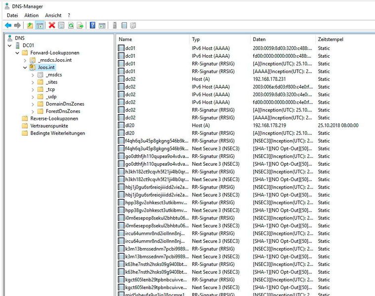 Anzeigen der Signaturen in der DNS-Verwaltung. (Microsoft / Joos)