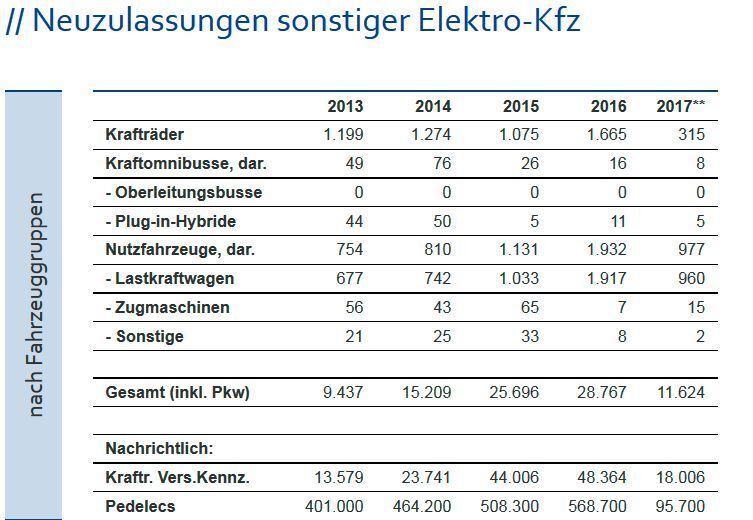 ZSW-Übersicht Elektrofahrzeuge: Neuzulassungen sonstiger Elektro-Kfz in Deutschland nach Fahrzeuggruppen (ZSW)