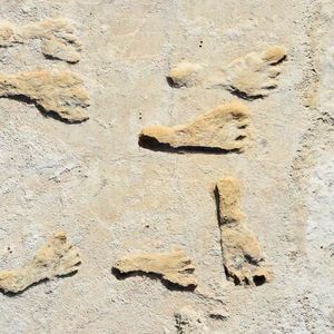 Fossilized footprints in White Sands National Park.(Source:  USGS, NPS, Bournemouth University)