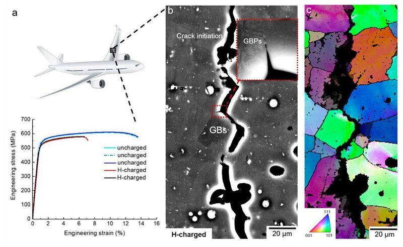 Fig. 1: Tensile properties and metallographic fractography of an aluminium-based alloy with
zinc, magnesium and copper after aging for 24 hours at 120°C. a) Engineering stress–strain
curves of uncharged and hydrogen-charged samples. b and c) Electron imaging of an
intergranular crack of the hydrogen-charged alloy subjected to tensile fracture. GB: grain
boundary; GBPs: grain boundary precipitates. In Nature, 10.1038/s41586-021-04343-z. (Max-Planck-Institut für Eisenforschung)