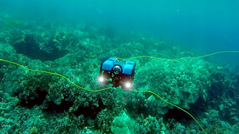 Die Variante T3U erlaubt den Einsatz in der Tiefsee: Hohe Drücke oder Salzwasser, kein Problem. (Beispielbild eines Tauchroboters von Blue Robotics) (Bild: Blue Robotics)