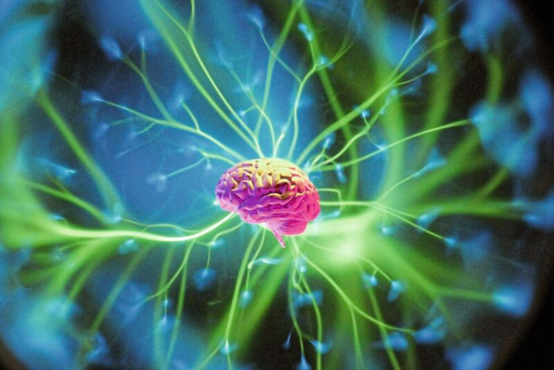 Die Dopaminausschüttung im Gehirn wird über Nervensignale gesteuert (Symbolbild).