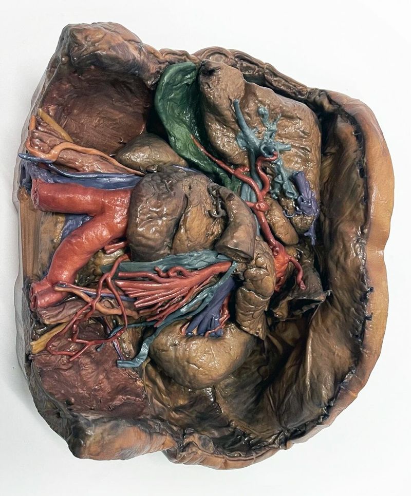 (Quelle:  Erler-Zimmer)