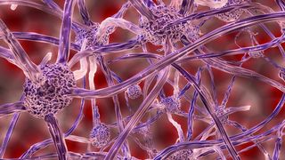 Illustration Nervenzellen (gemeinfrei)