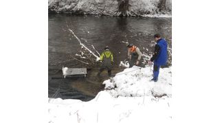 Scientists taking samples from the fish in the cage. (Rita Triebskorn)
