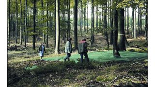 1	 Ernte von Bucheckern mithilfe von ausgelegten Netzen in einem zugelassenen Bestand. Bild: Nordwestdeutsche Forstliche Versuchsanstalt (Archiv: Vogel Business Media)
