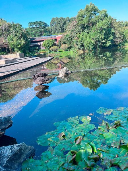 Abbildung 13: Zum See gehören schwarze Schwäne. Das natürliche Verbreitungsgebiet des Schwarzschwans ist Australien, so dass man auch in China lange Zeit davon ausgegangen ist, dass es keine schwarzen Schwäne gebe. Eine Erstbeobachtung durch Europäer in der Umgebung des heutigen Perth ist für das Jahr 1697 belegt. Die schwarzen Schwäne sollen die Konzernleitung daran erinnern, dass was heute noch als Wahrheit und unmöglich gilt, morgen schon als überholt, neue Wahrheit gilt und machbar ist.  (Bild: uo/ Vogel IT-Medien GmbH)