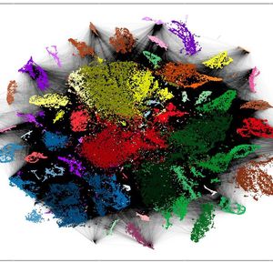 (© Junker Lab, MDC)