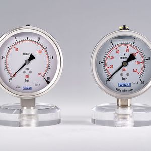 (Aktion Plagiarius e.V.)