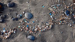 Mikroplastik gehört zu den aktuell meistdiskutierten Umweltproblemen. (Bild: Susanne Fritzsche - stock.adobe.com)