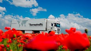 Egal ob Rosen aus Kenia oder Tulpen aus den Niederlanden: Bei Schnittblumentransporten bietet sich Thermotraffic als zuverlässiger Logistikpartner an. (Thermotraffic)