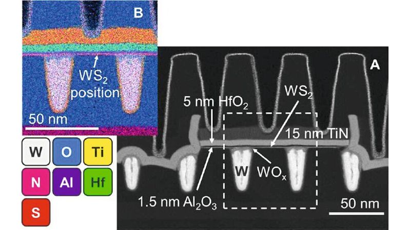 Bild 1: (A) X-Cut-HAADF-Rasterelektronenmikroskopieaufnahme eines WS2-Bauelements mit einer CPP von 50 nm, einer Kontaktlänge von 19 nm und einer Breite von 256 nm nach dem Ätzen der Gate-Anschlussleitung. (B) die entsprechende energiedispersive Röntgenspektroskopie (EDS)-Analyse(Bild:  Imec)