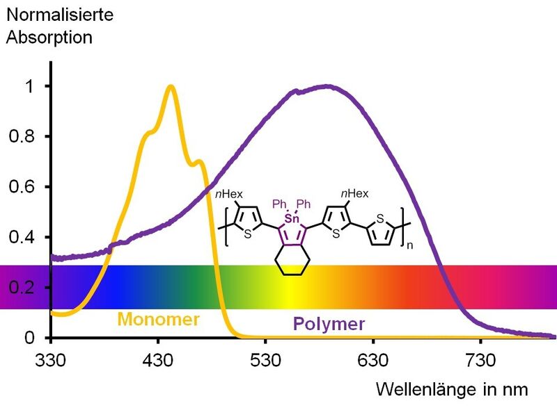 Die Absorption des Polymers reicht bis in den orangen Bereich des Spektrums, so dass das Auge beim Betrachten nur noch den langwelligen Teil des Spektrums wahrnimmt. Somit erscheint das Polymer optisch als tiefviolett. Der organische Zinnzyklus, das Stannol, ist in der Struktur violett markiert. (Bild: Anne Staubitz)