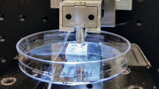 Der Testaufbau der Wissenschaftler ohne Elektrode. (Michigan Technological University)