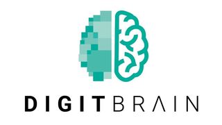  (Digitbrain)