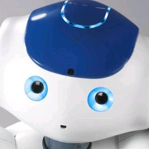 (robotsontour.com)