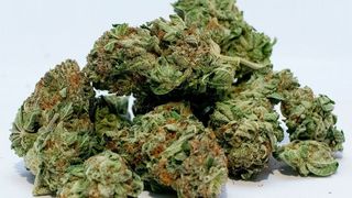 Farmako importiert in den nächsten vier Jahren insgesamt 50 Tonnen pharmazeutisches Cannabis von Pharmacann. (Pixabay)