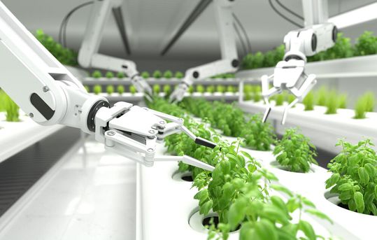 Combien d’emplois sont amenés à disparaître en faveur de l'utilisation de robots intelligents ? Combien d’emplois sont amenés à disparaître en faveur de l'utilisation de robots intelligents ?
