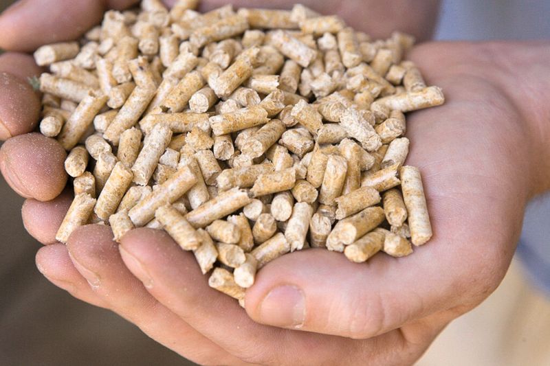 Holzpellets sind der weitest verbreitete Brennstoff aus Biomasse (Bild: ESI Eurosilo)