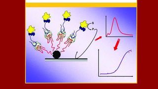 Das neue Fachbuch liefert einen Überblick zur Entwicklung und Anwendung von Aptameren.  (Bild: Wiley-Blackwell)