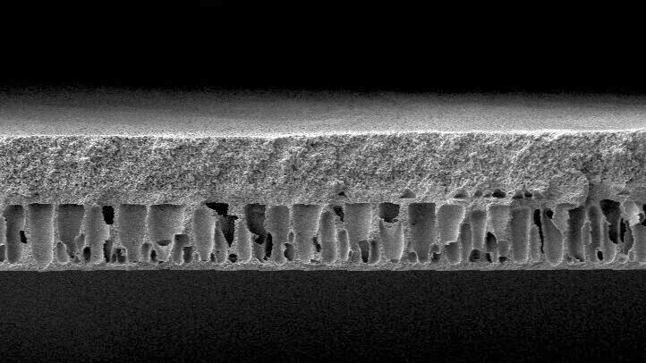 The PFAS-free polymer membrane is chemically stable, highly permeable and has a pore diameter of about seven nanometers.(Image: Fraunhofer IAP)
