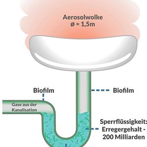 Schematische Darstellung des bakteriellen Problembereichs Waschbecken/Siphon