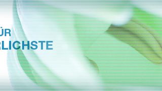 GEMUE_Kopfbild_Lilie_749x189.jpg ()