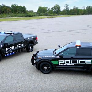 Auch eine Pick-up-Variante ist zu haben.(Bild:  Ford)