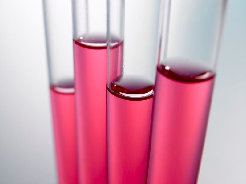 Paraxel hat eine neue Unternehmensdivision vorgestellt, die aufstrebende Biotech-Unternehmen dabei unterstützen soll, ihre Ziele schnell und kostengünstig zu erreichen. (gemeinfrei)