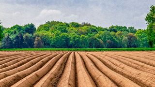 Rund 80 Prozent der Landflächen in Europa sind besiedelt und werden land- und forstwirtschaftlich genutzt. (gemeinfrei)