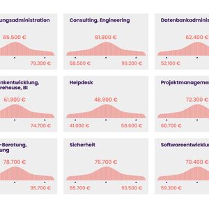 Die Gehälter im Überblick.(Bild:  Amadeus Fire Group)