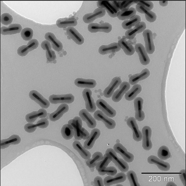 Dank dem auf Gold-​Nanopartikeln beruhenden Kontrastmittel sollen Brusttumore besser sichtbar gemacht werden können. (Bild: D-MAVT / ETH Zürich)