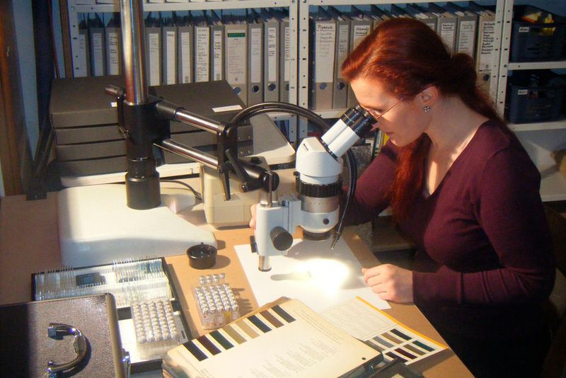 Durch das Mikroskop offenbaren Lacke und Materialien ihre Geheimnisse. (Pressinform)