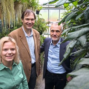 Wie kann Chemie genutzt werden, um Pflanzenhormone herzustellen? Damit befassen sich die Doktorandin Jana Löwe und die beiden Professoren Dr. Harald Gröger und Dr. Karl-Josef Dietz (v.l.) in einer neuen Studie.(Bild:  Universität Bielefeld)