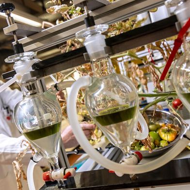 Extracted tomato residues in the shaking funnel. (Image:TU Graz/ Helmut Lunghammer)