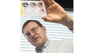 Prof. Dr. Alexander Pfeifer vom Institut für Pharmakologie und Toxikologie der Universität Bonn (Barbara Frommann/Uni Bonn)