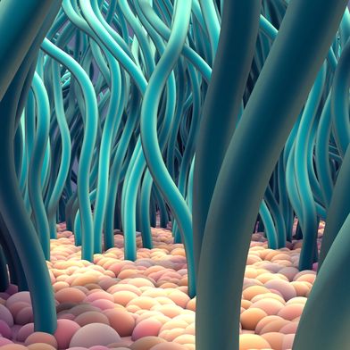 Zilien sind mikrometerkleine biologische Strukturen, die häufig in der Natur vorkommen und wichtige Aufgaben übernehmen. Künstliche Zilien aus Hydrogel sollen jetzt neue Maßstäbe in der Mikrorobotik setzen. (Bild: © Design Cells – stock.adobe.com)